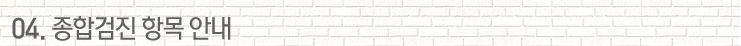 04. 종합검진 항목 안내