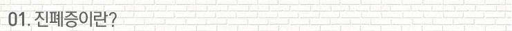 01.진폐증이란?