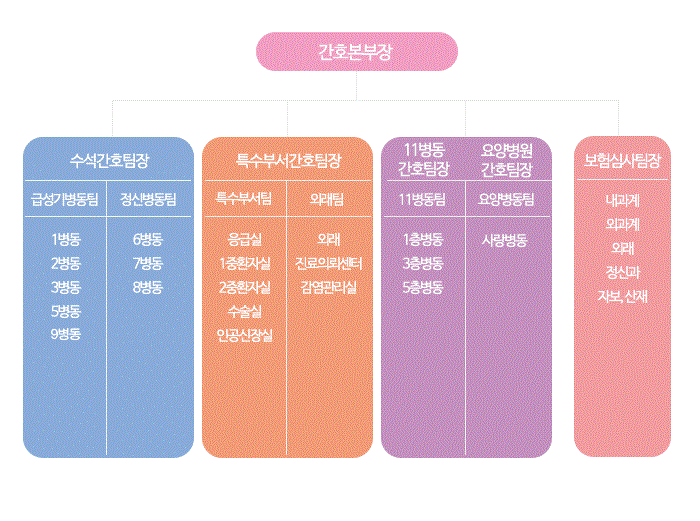 간호부 조직도